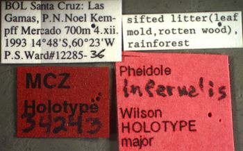 Media type: image;   Entomology 34244 Aspect: labels